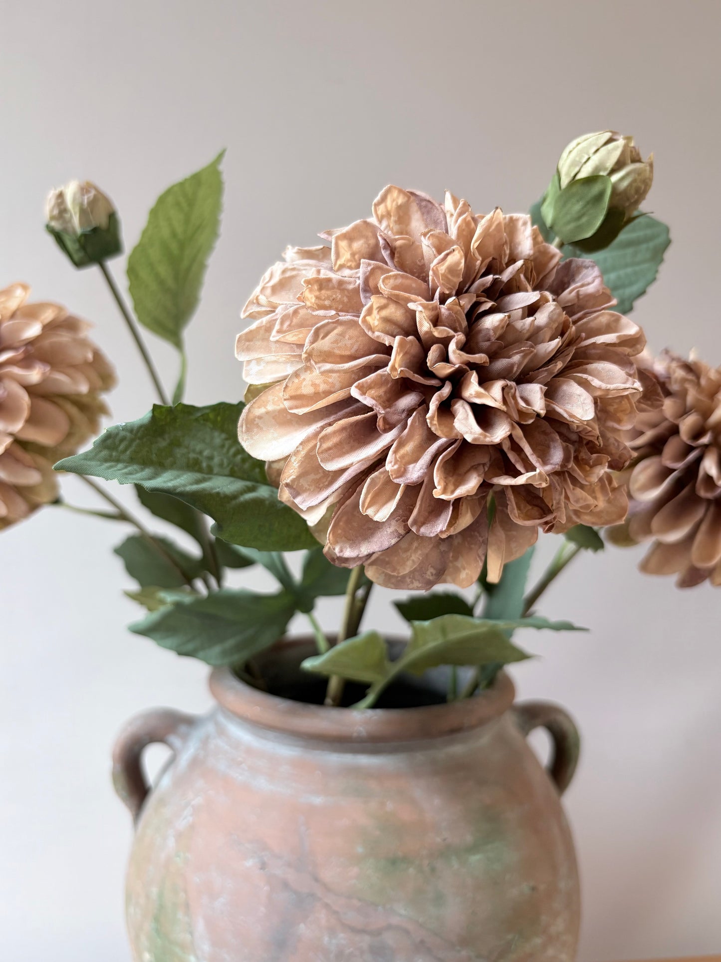 Pom Pom Dahlia Latte