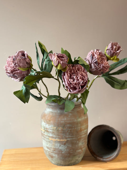 Double Stem Peony - Lilac
