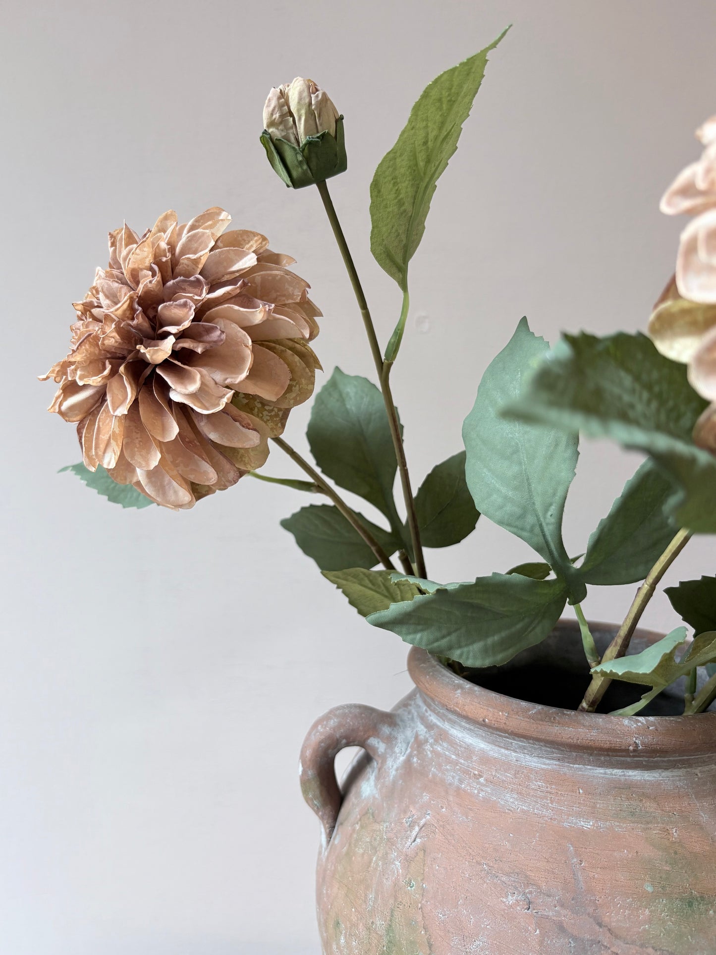 Pom Pom Dahlia Latte