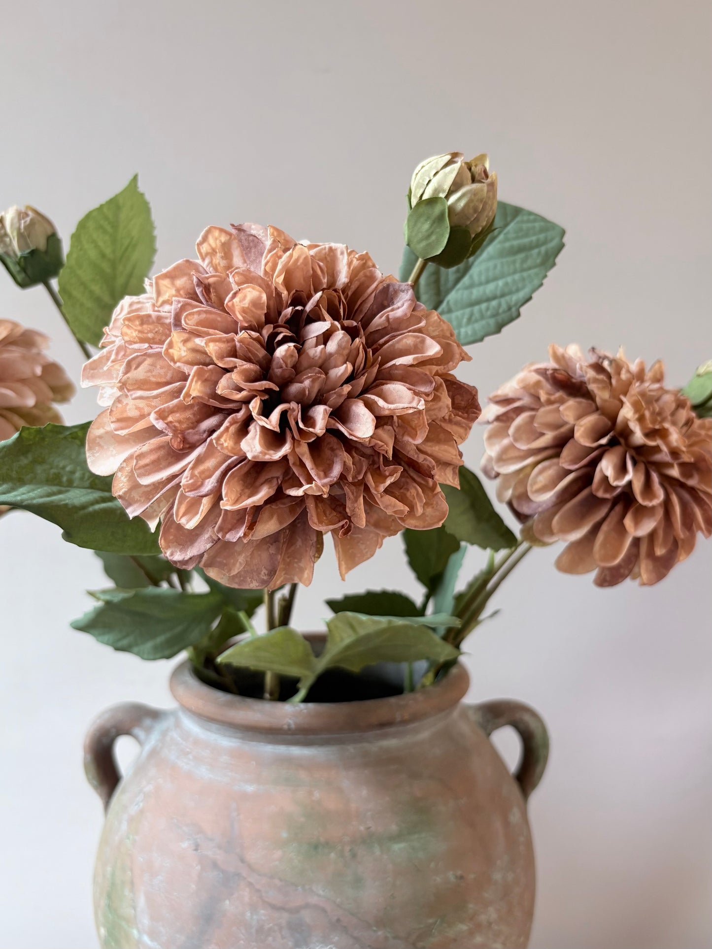 Pom Pom Dahlia Latte