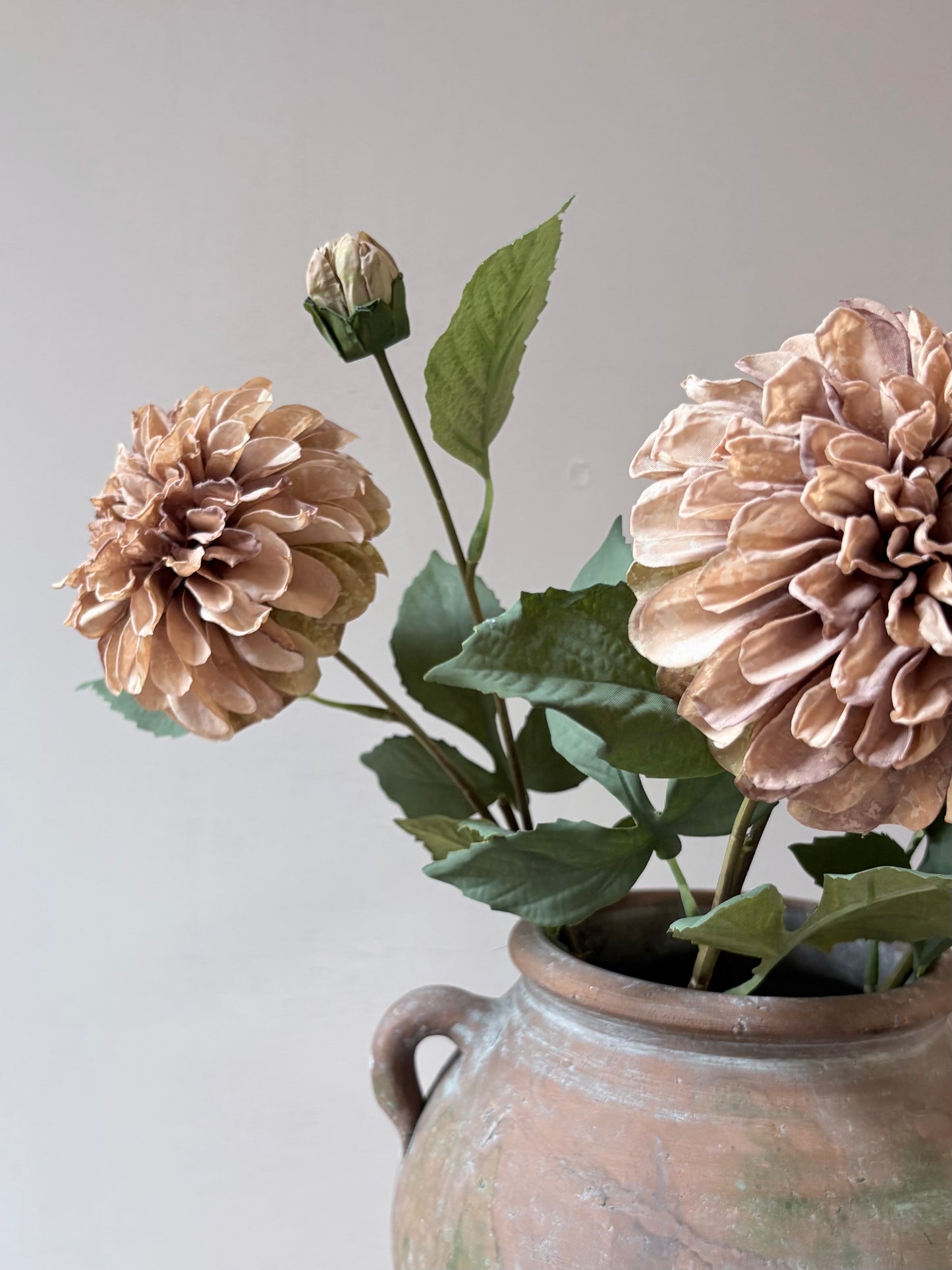 Pom Pom Dahlia Latte