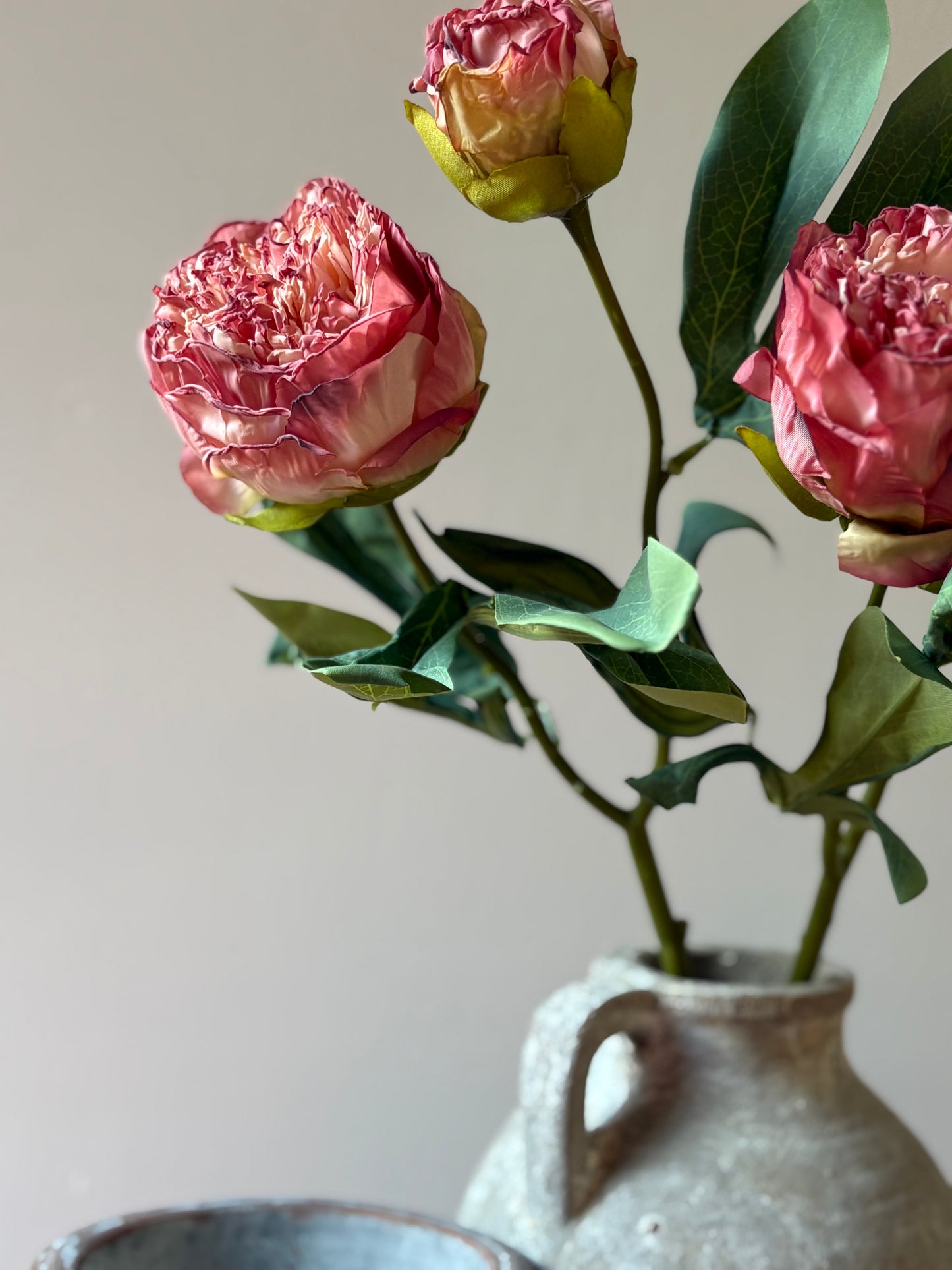 Double Stem Peony in Raspberry Ripple