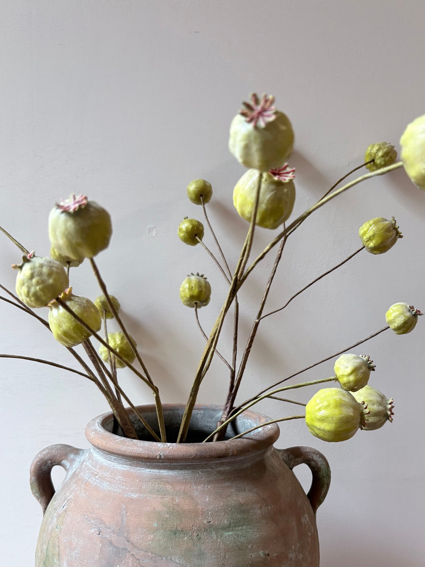 Poppy Seed Head - Green