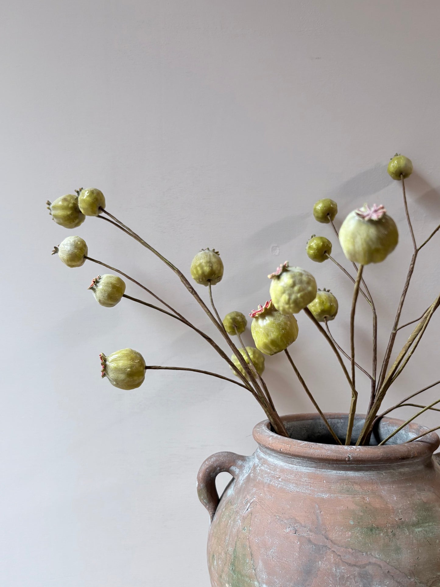 Poppy Seed Head - Green