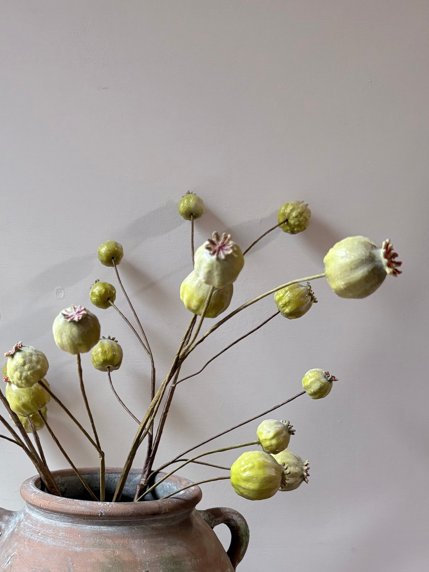 Poppy Seed Head - Green