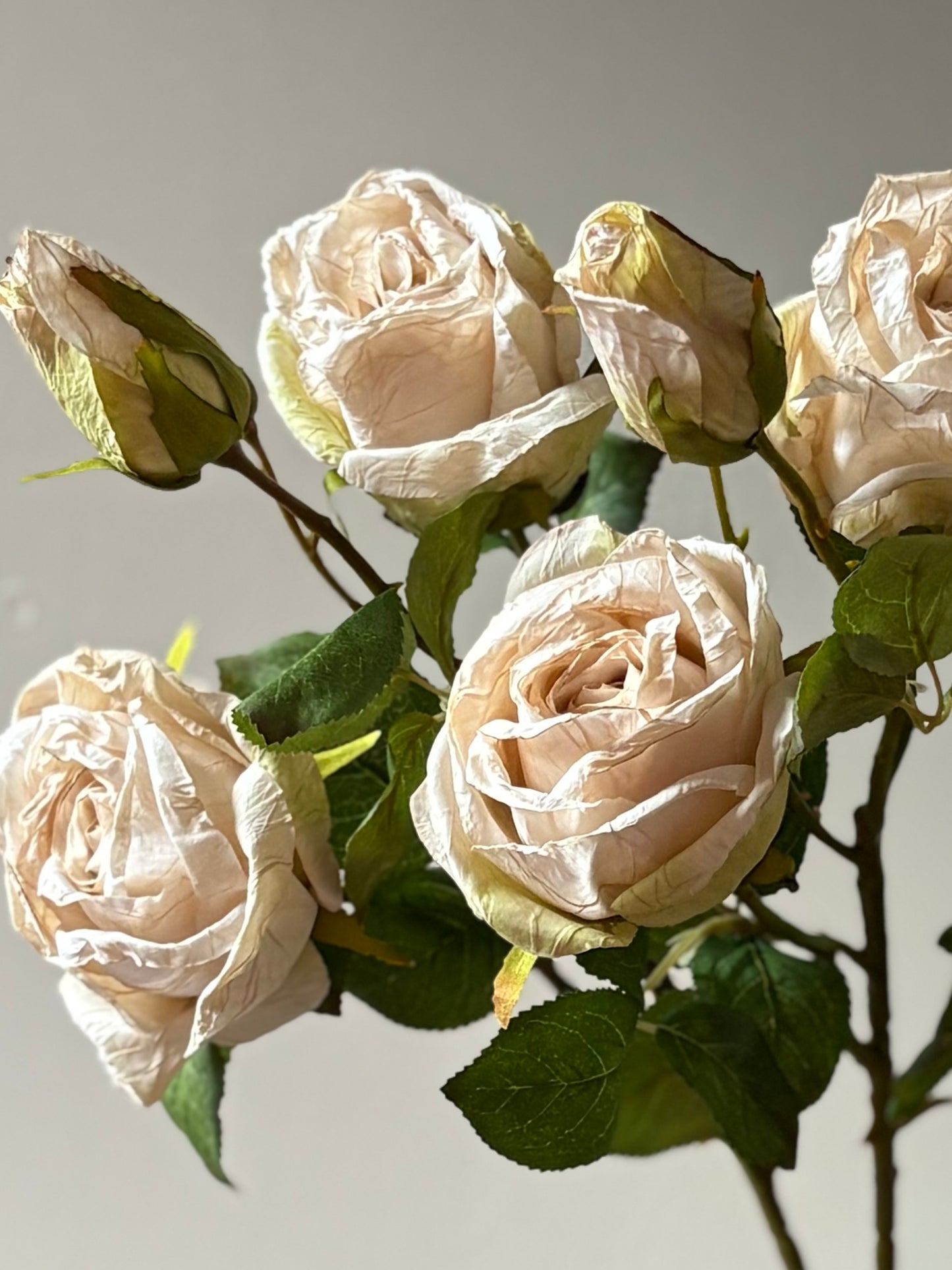 Vintage Rose Spray in Nude