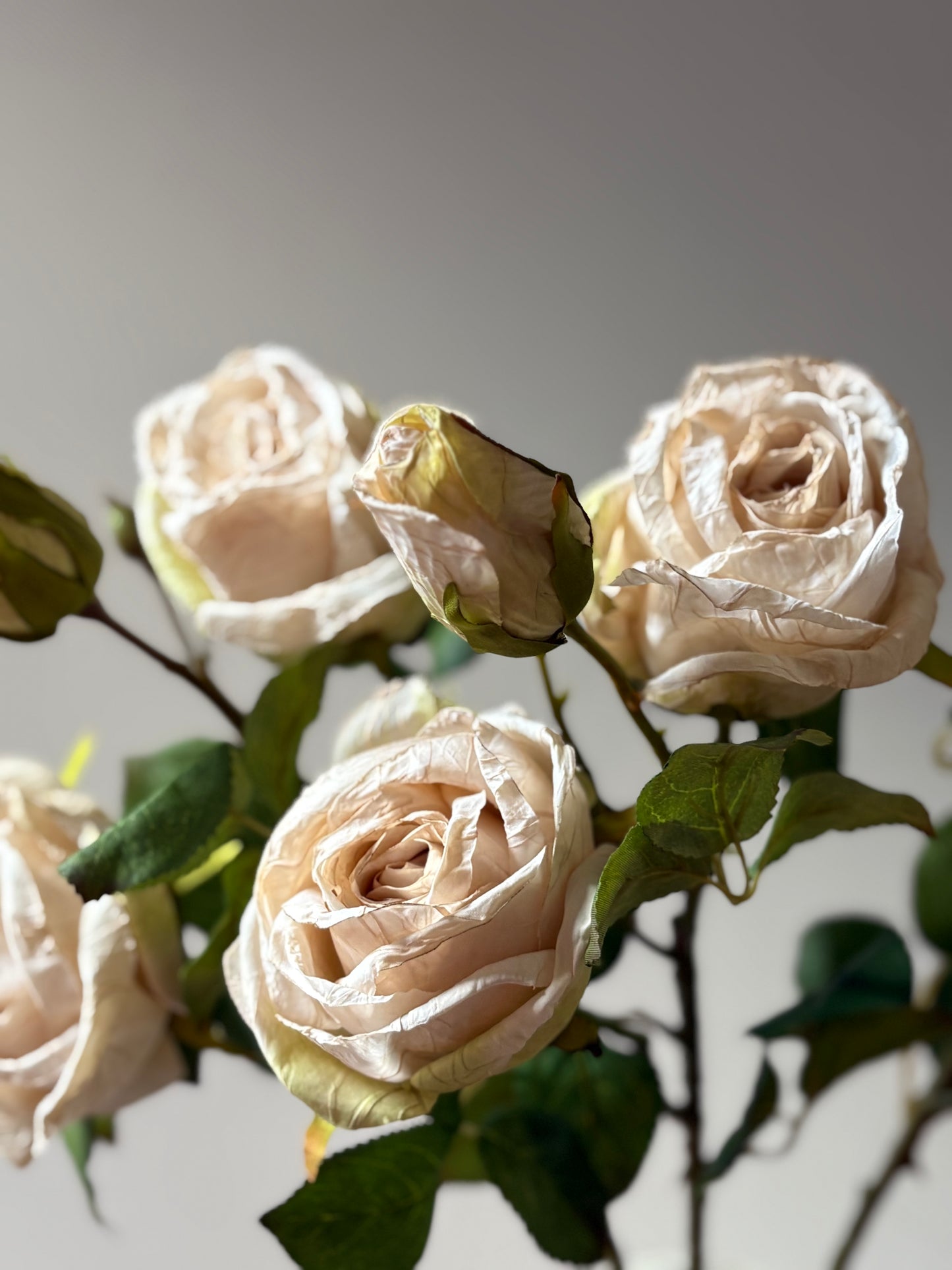 Vintage Rose Spray in Nude