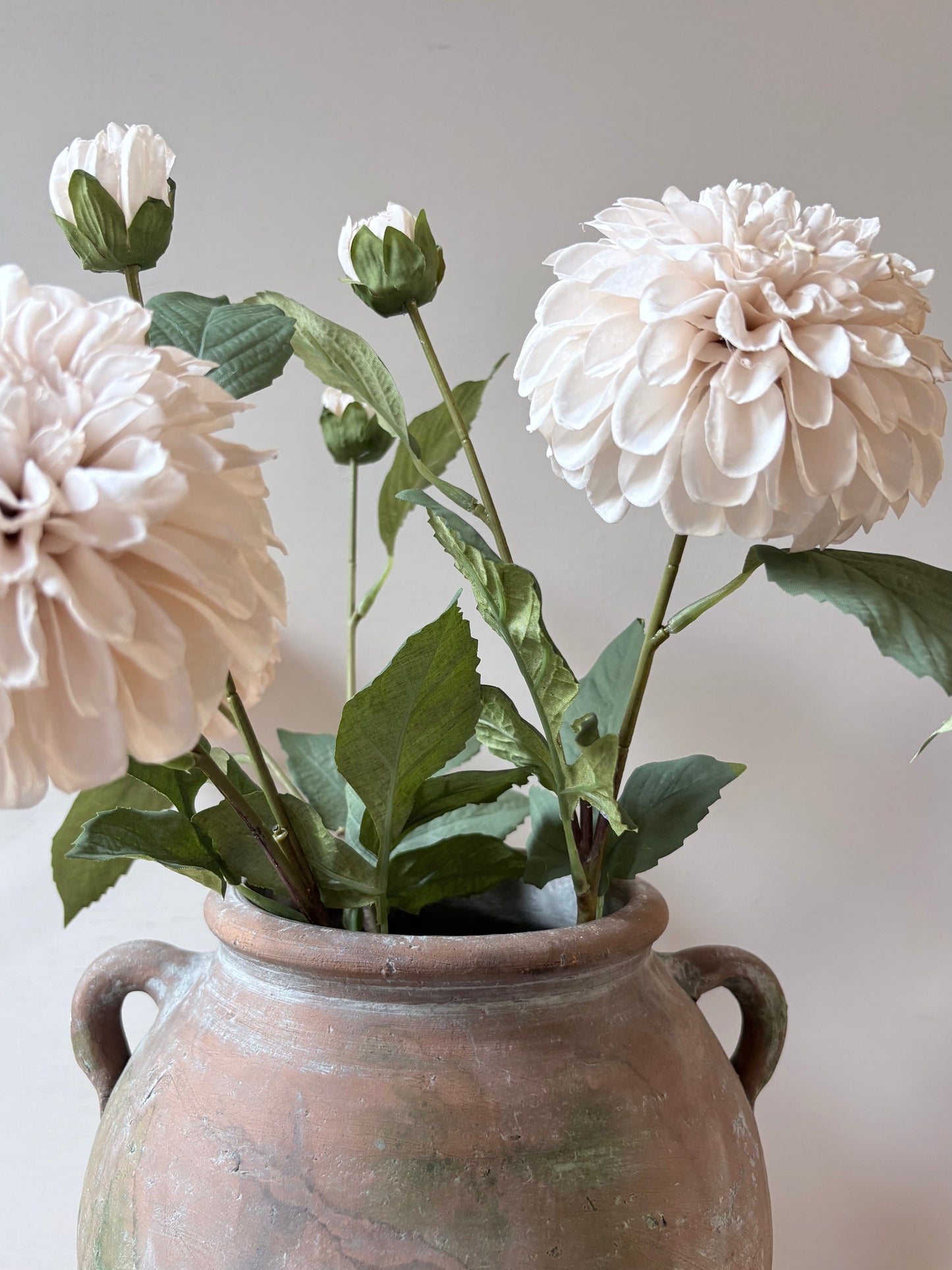 Pom Pom Dahlia Cream