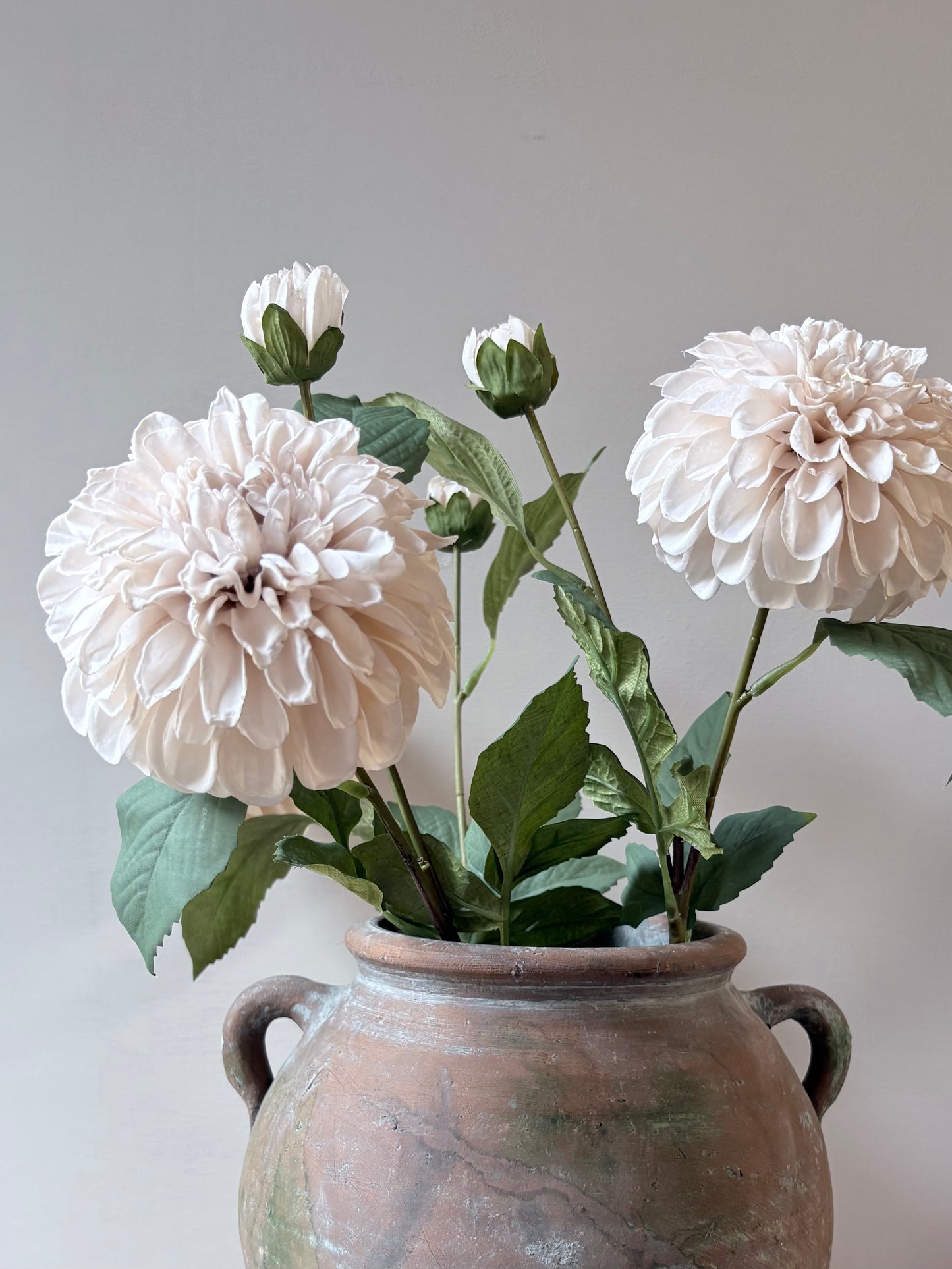 Pom Pom Dahlia Cream