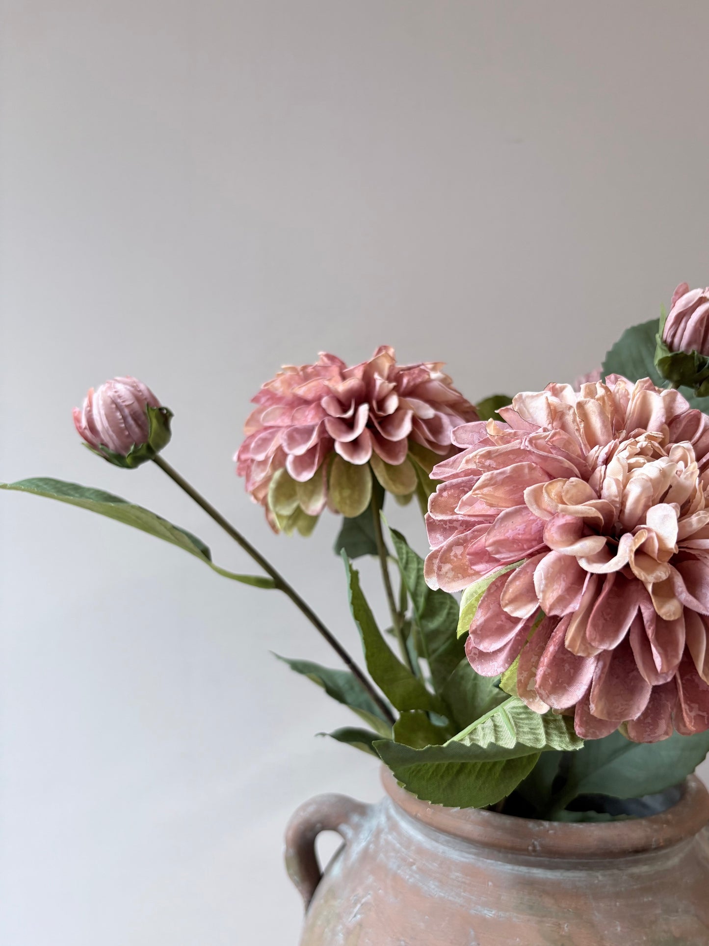 Pom Pom Dahlia Dusky Pink