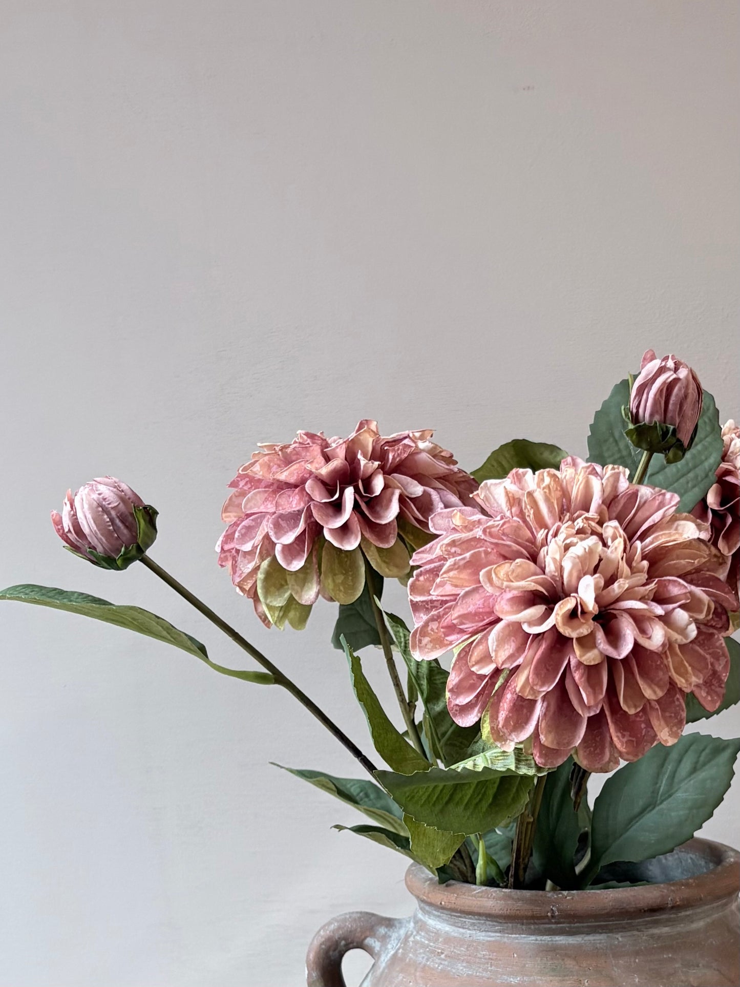 Pom Pom Dahlia Dusky Pink
