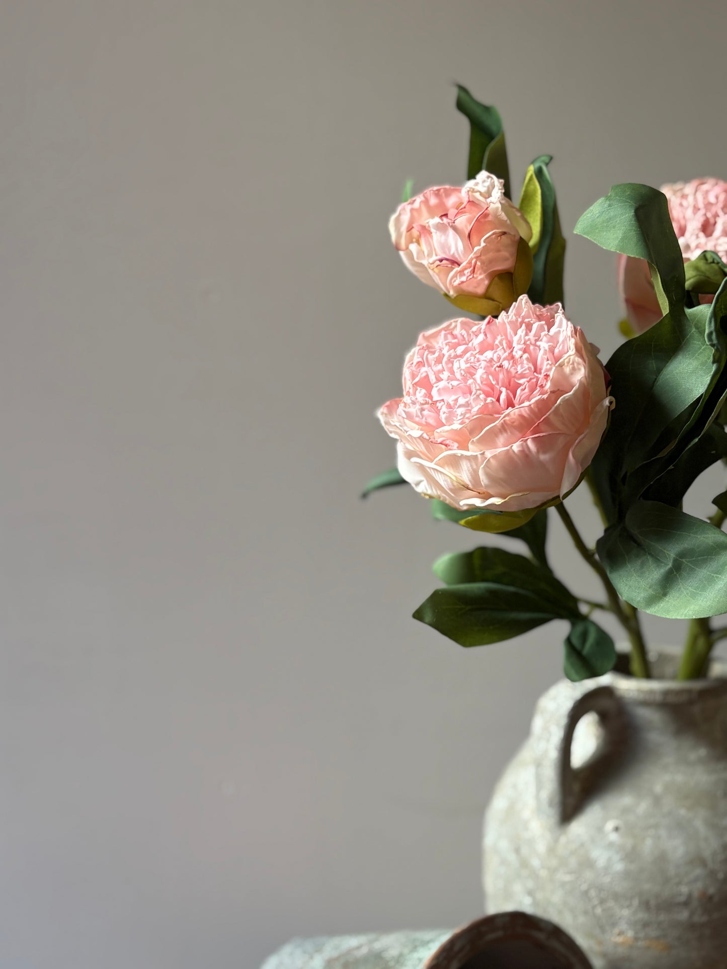 Double Stem Peony - Soft Pink