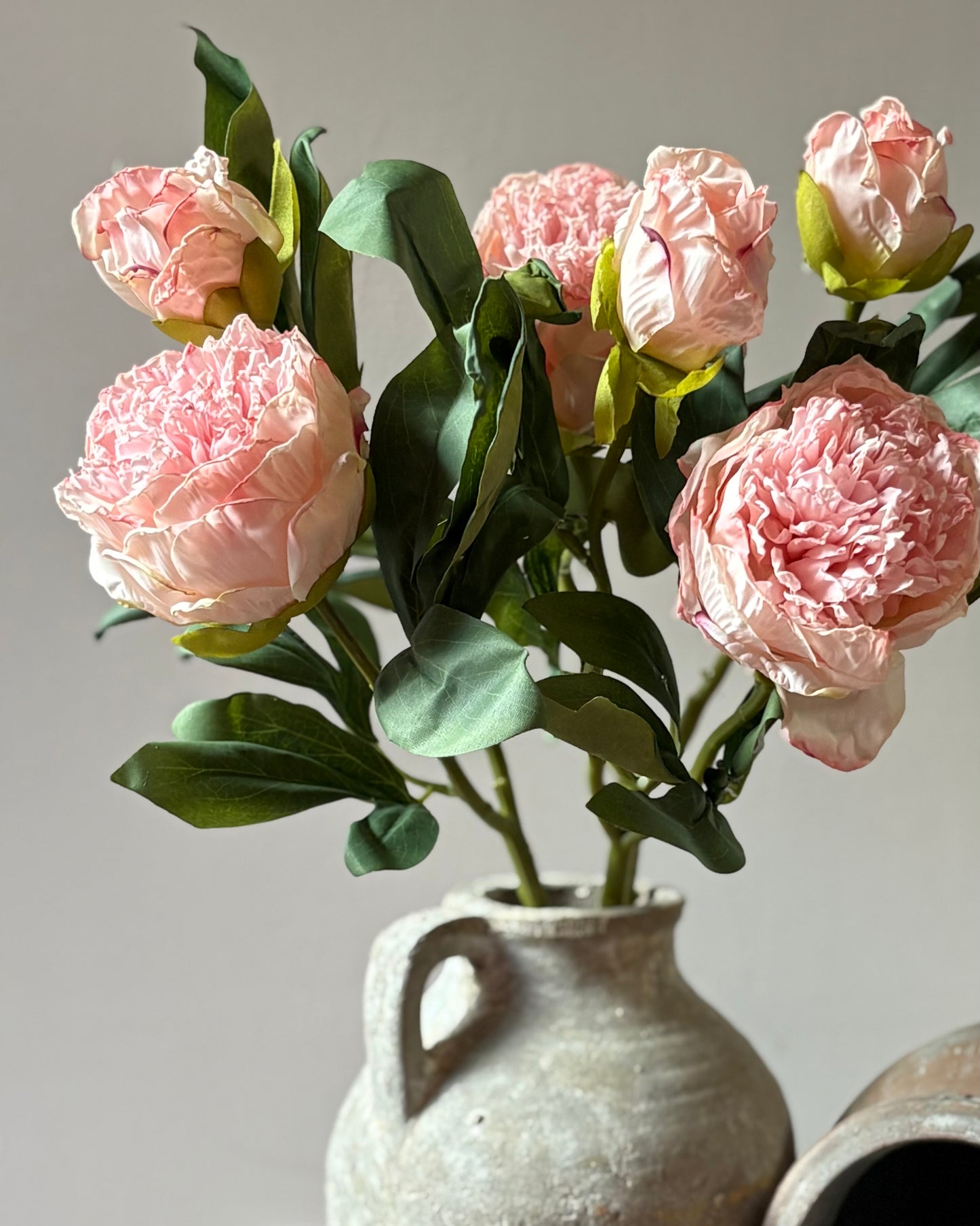 Double Stem Peony - Soft Pink