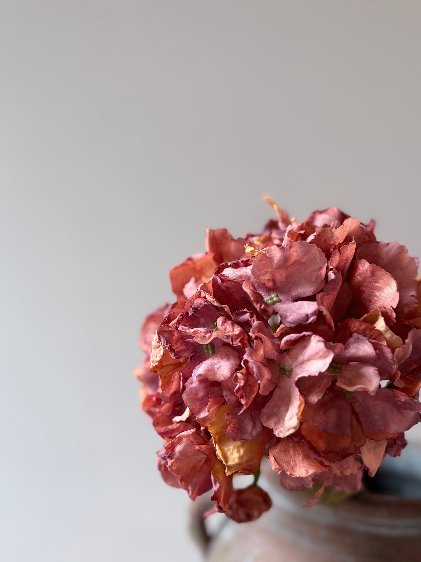 Vintage Hydrangea - Rust Orange