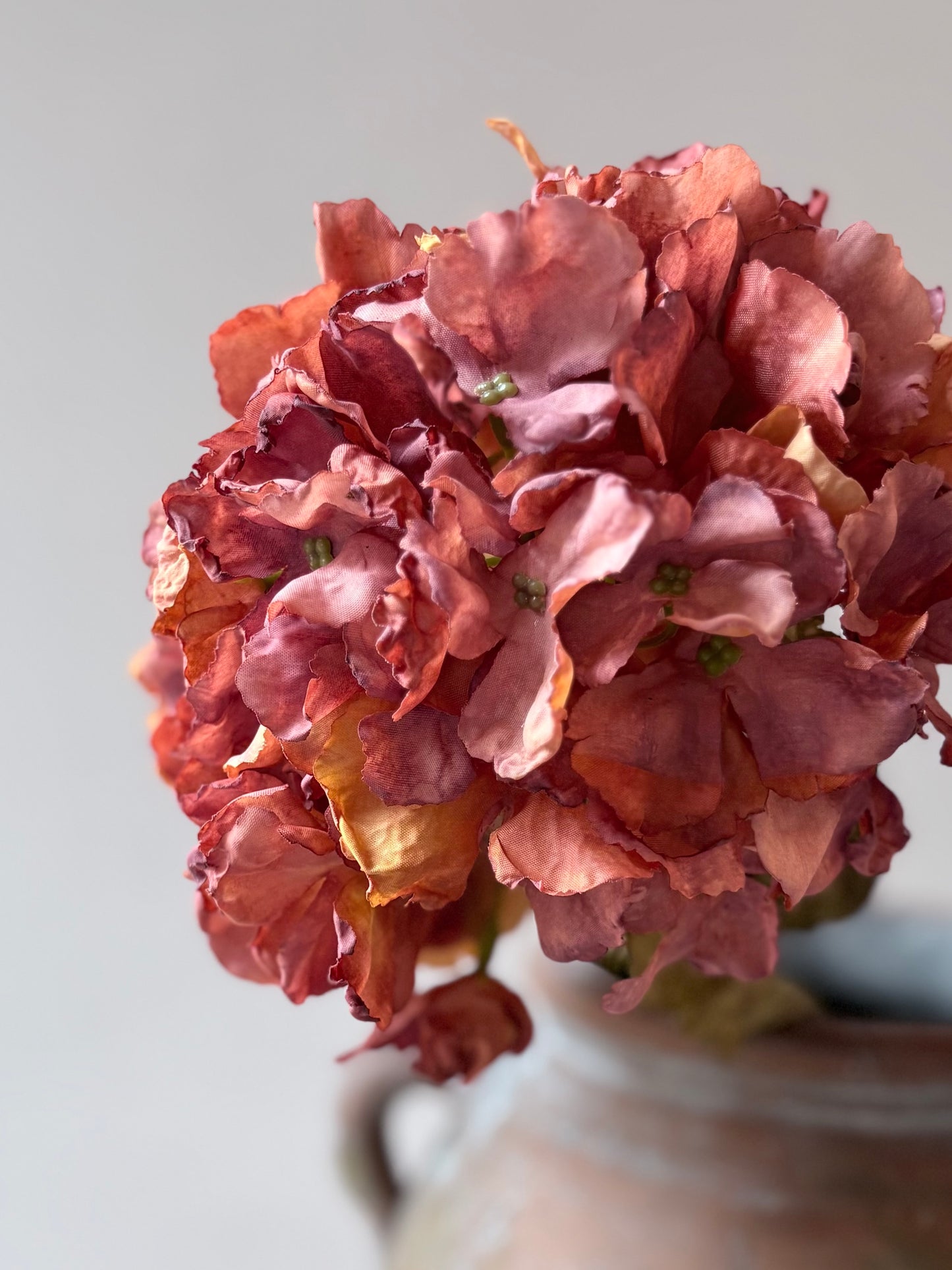 Vintage Hydrangea - Rust Orange