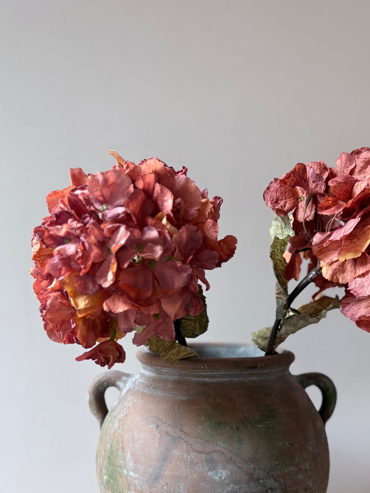 Vintage Hydrangea - Rust Orange