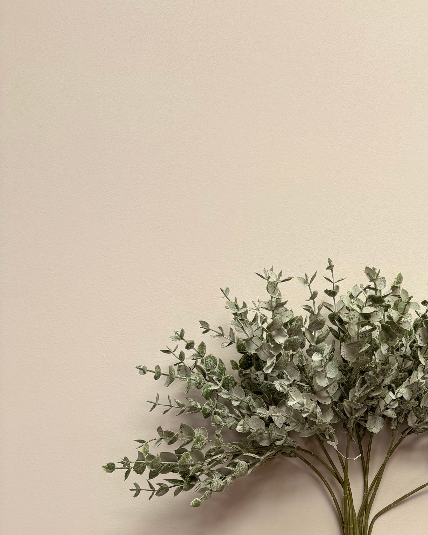 Mini Eucalyptus Bunch